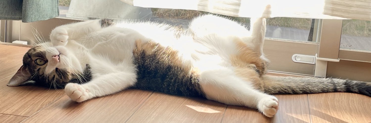 haru_jelly's profile banner image