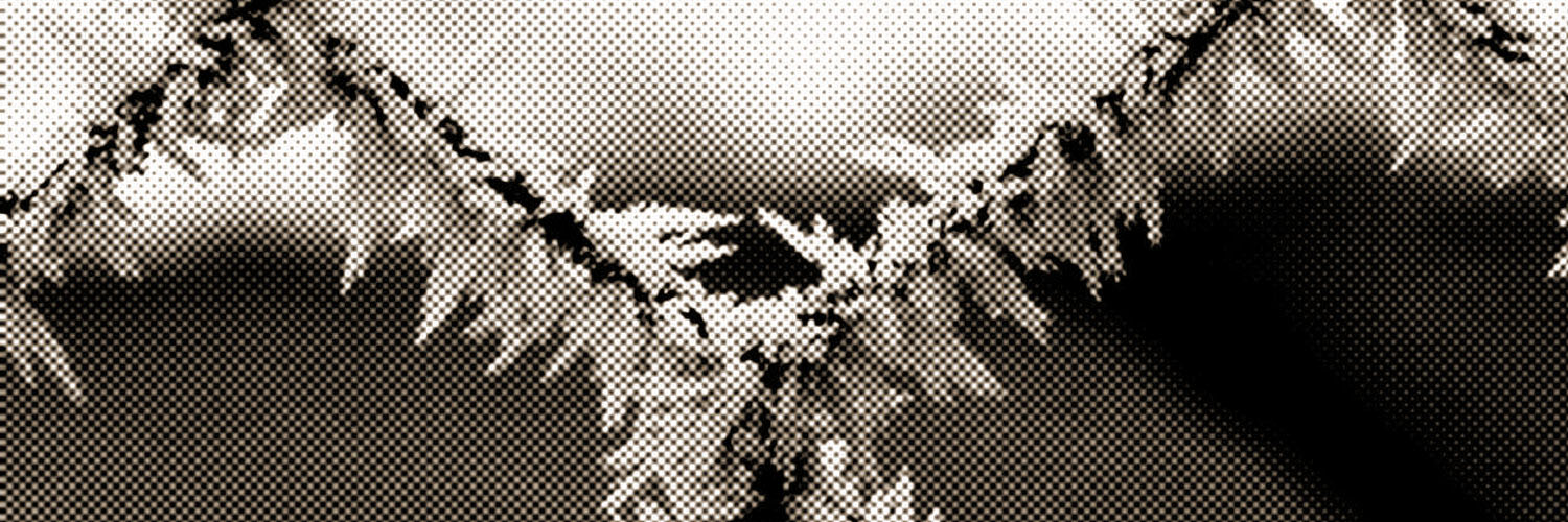 arcturus011's profile banner image