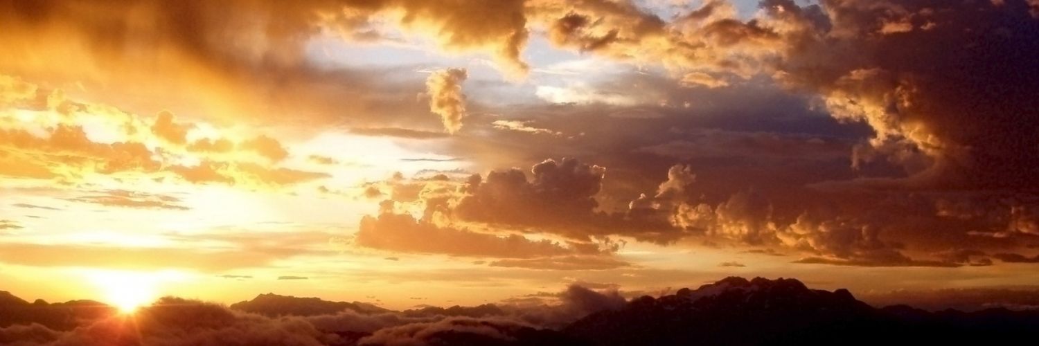 Team Leopard 🇺🇦 🇺🇸🇨🇦 banner