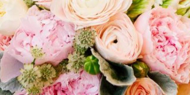 Lilyrose222's profile banner image