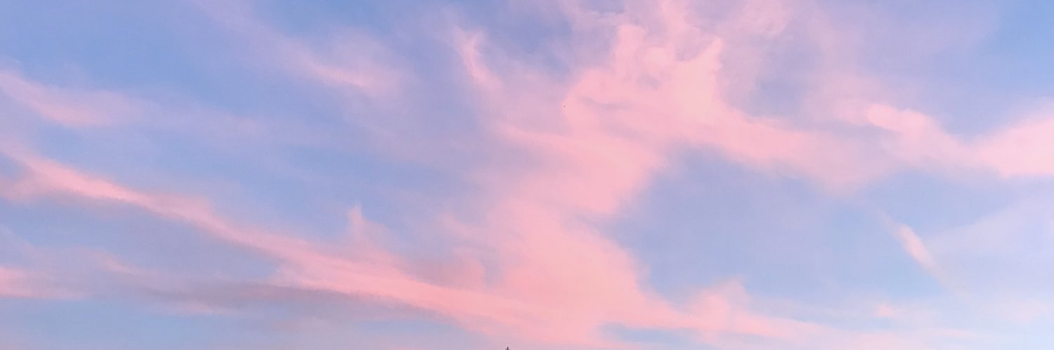pascaline_msst's profile banner image
