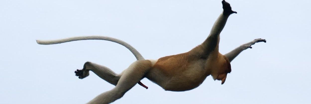 Pipe banner
