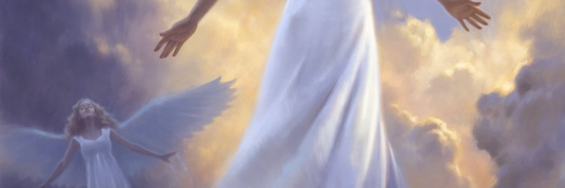 starteacher09's profile banner image