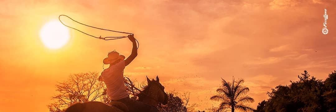 LFernandaSotelo's profile banner image
