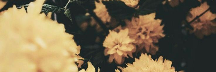 TitasBasu_x's profile banner image