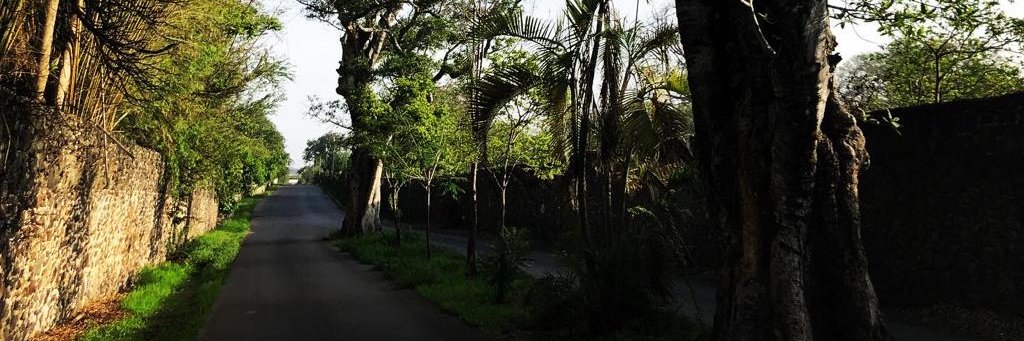 GRPBalderas's profile banner image