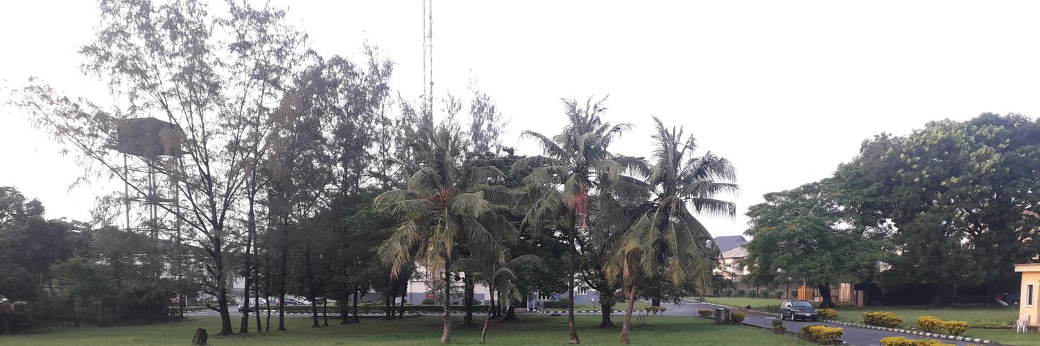 Damilola Olaopa banner