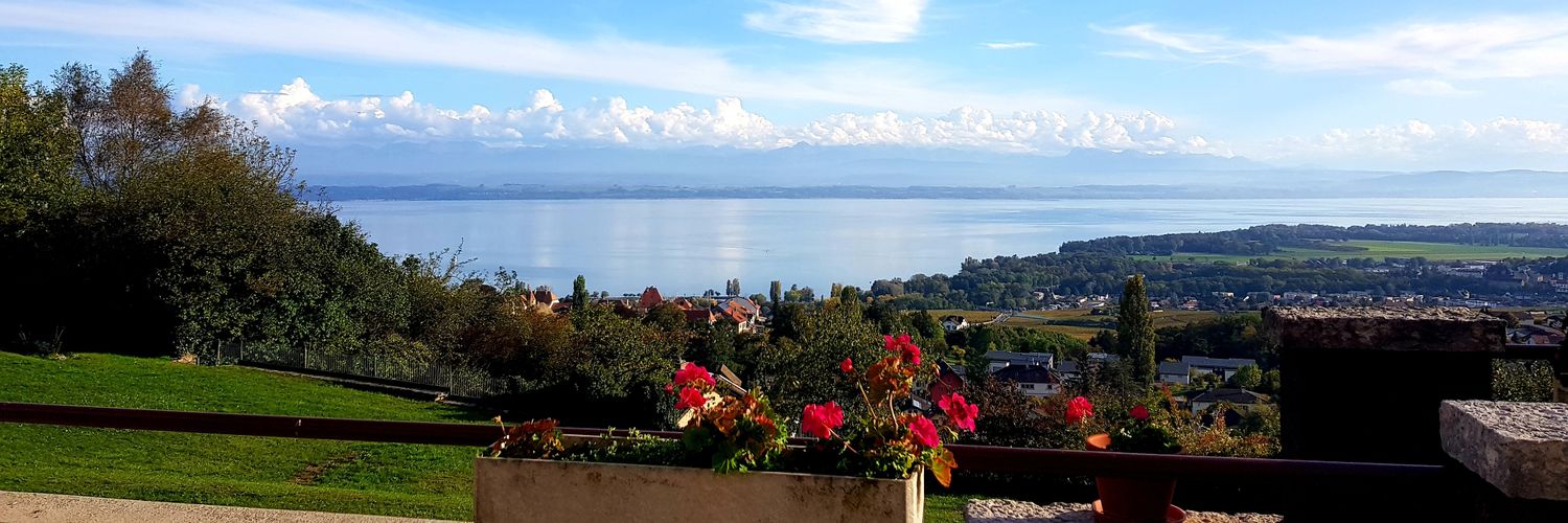 Andreas Genoni banner