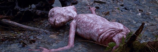 Stormzerino Profile Banner