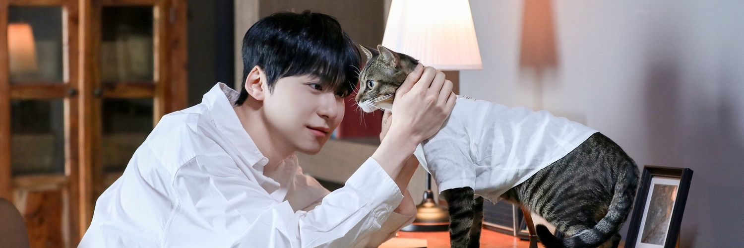tomoonera's profile banner image