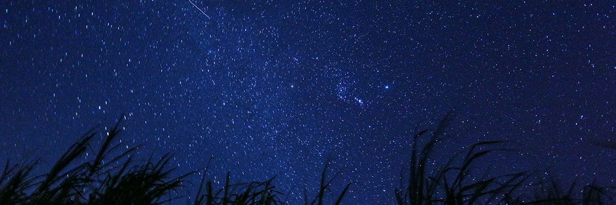 dunny_unchained's profile banner image