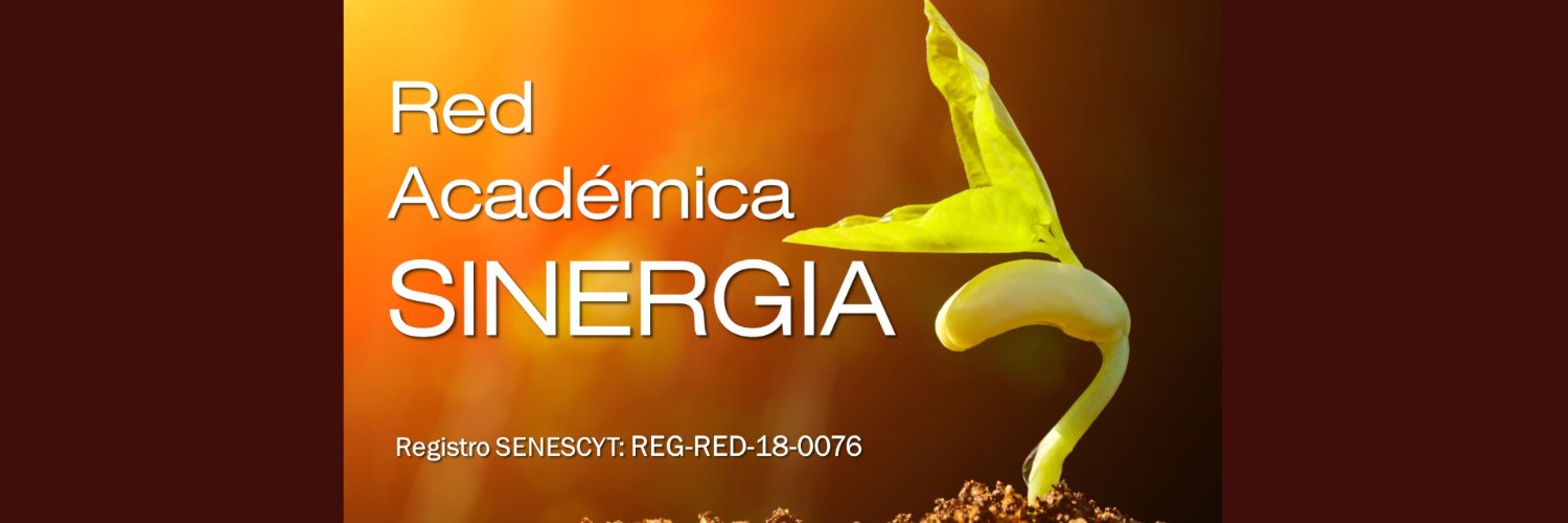 Red Académica SINERGIA UNL banner