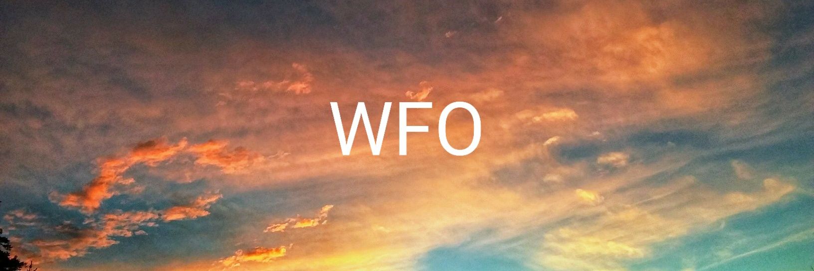 WFO Ed Gaston banner
