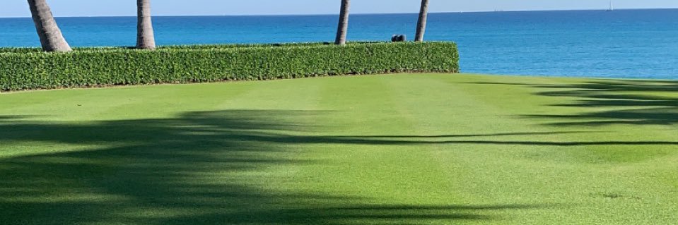 Prime Turf Management banner