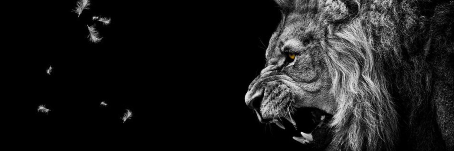 Coleman Franzone banner