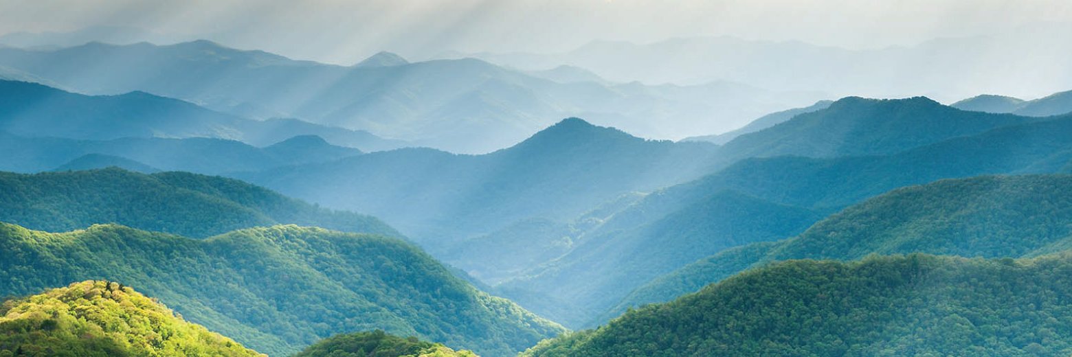 onlythefireborn banner