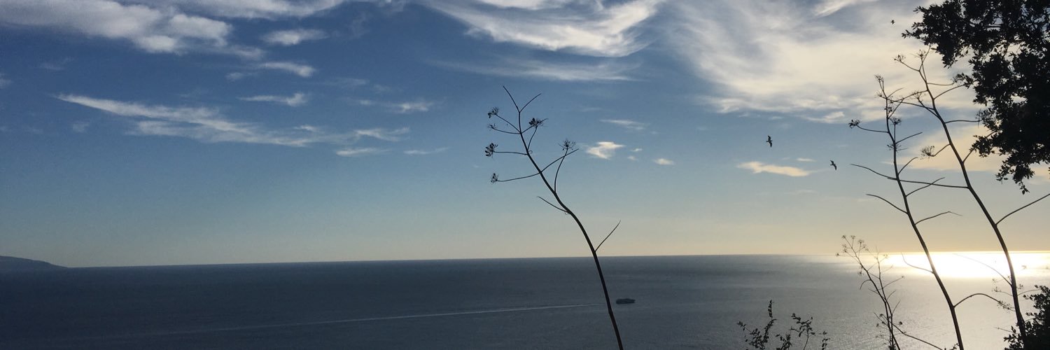 CaponeTeresa's profile banner image
