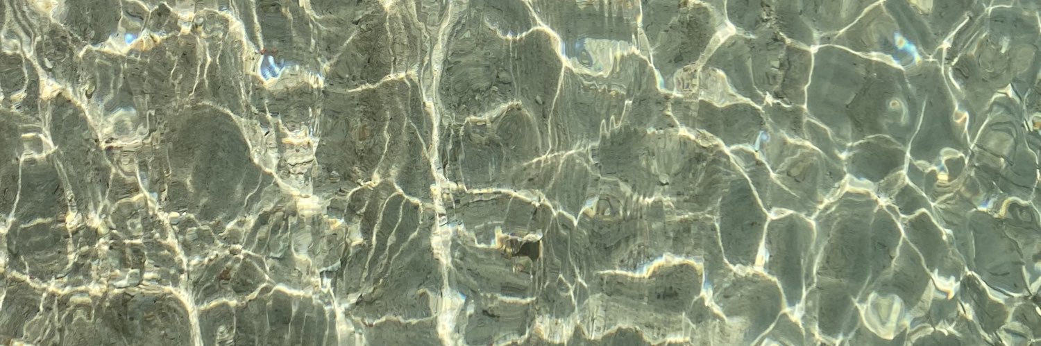 elicamilli's profile banner image