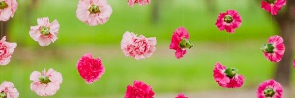 Lathacool's profile banner image