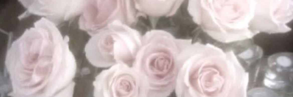 ___ncjs's profile banner image