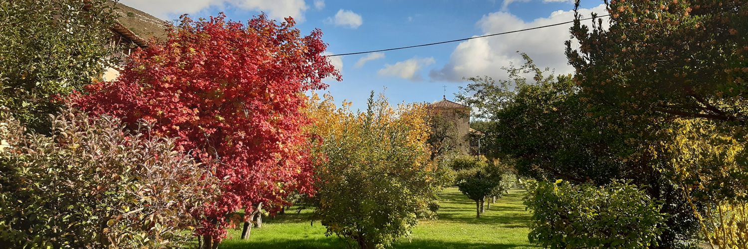 repescacuentos's profile banner image