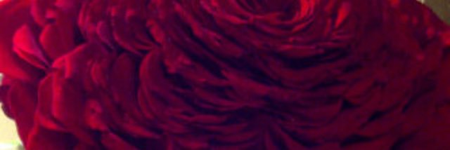 s7ab121's profile banner image