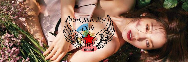 PSH_CHILE's profile banner image