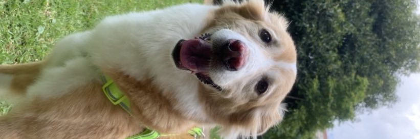 cprgii's profile banner image