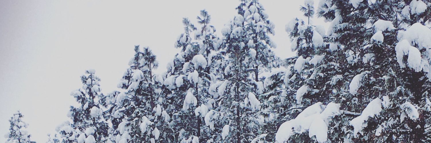 MrMorrisaz's profile banner image