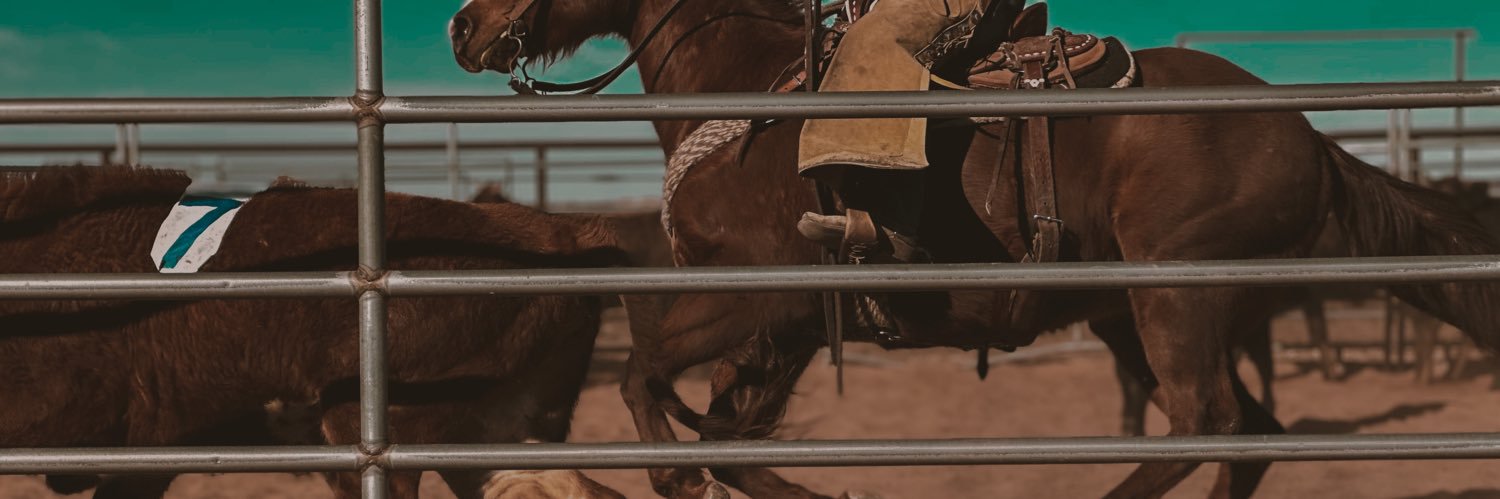 KinleeBear's profile banner image