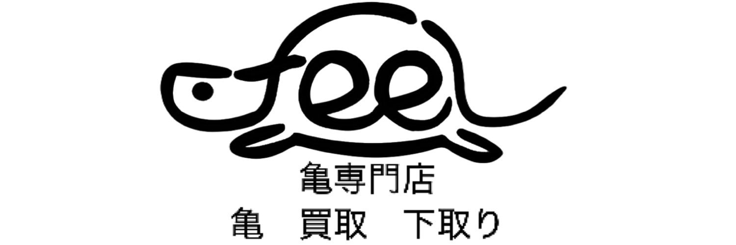 reptilefeel's profile banner image