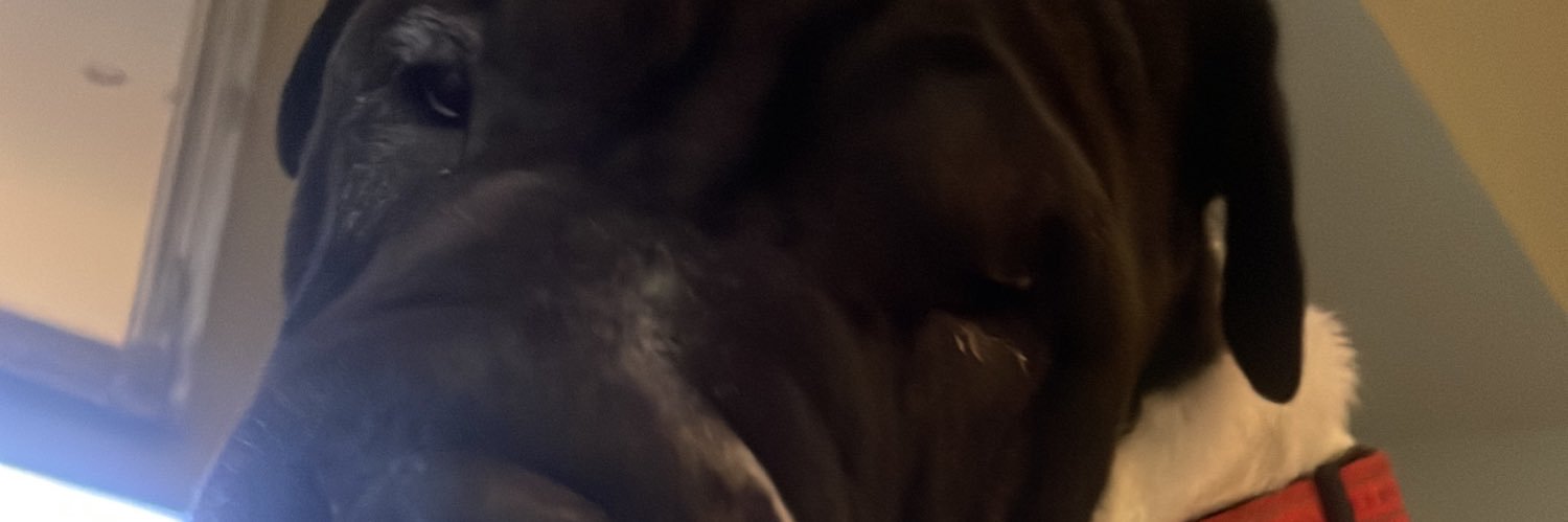 davetheheed's profile banner image