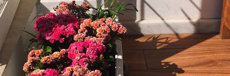 ffatimah02's profile banner image