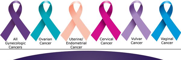CnsGynae Profile Banner