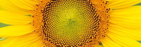 Fibonacci2134's profile banner image