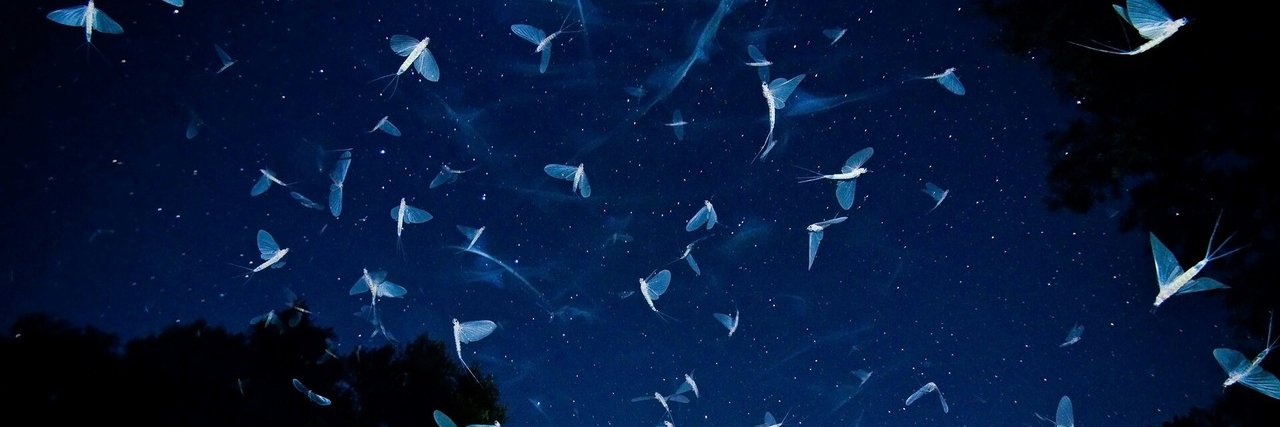 youknowwhoq's profile banner image