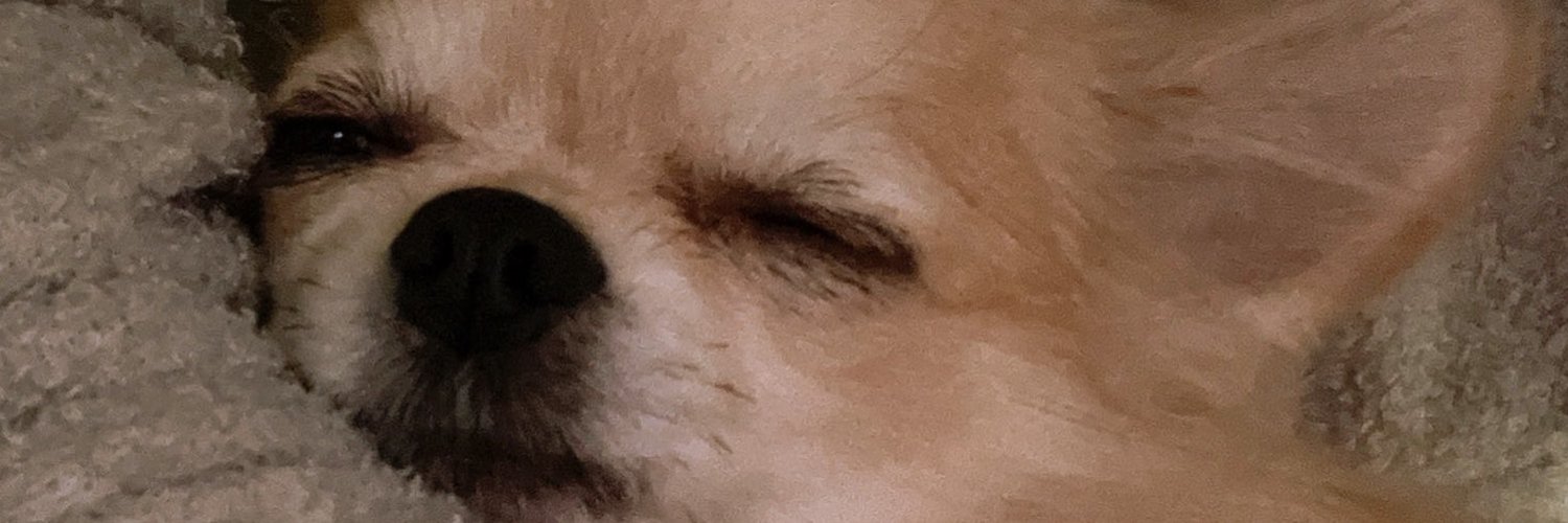 4k_6ofps's profile banner image