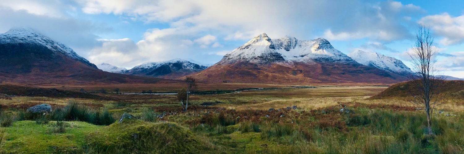 Devin Fitzpatrick banner