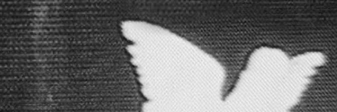 phing banner