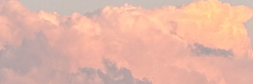 4shle_y's profile banner image