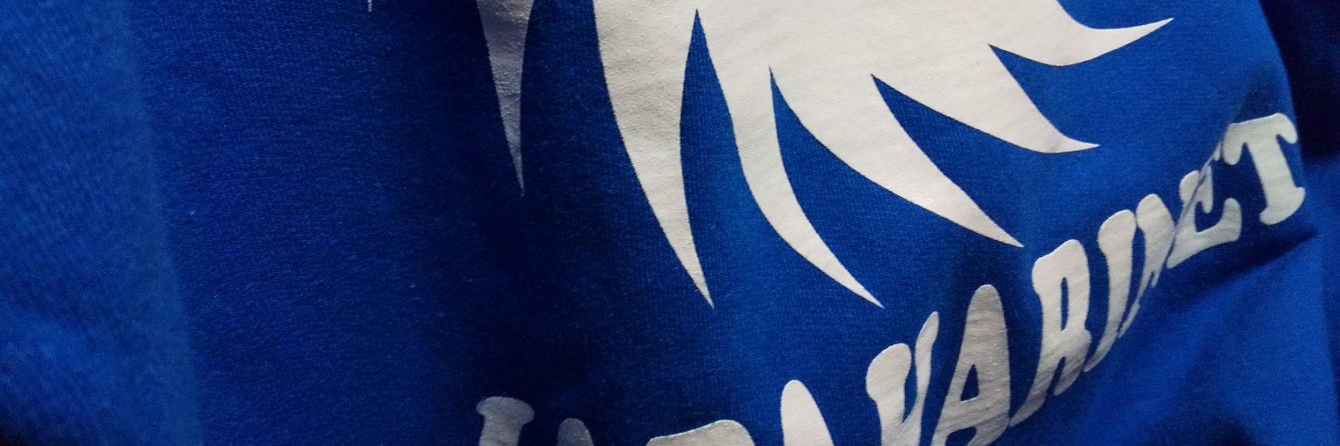 vector_ga's profile banner image
