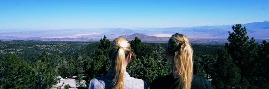 Ellen Nathues banner