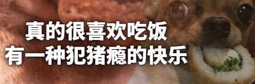 茨's banner