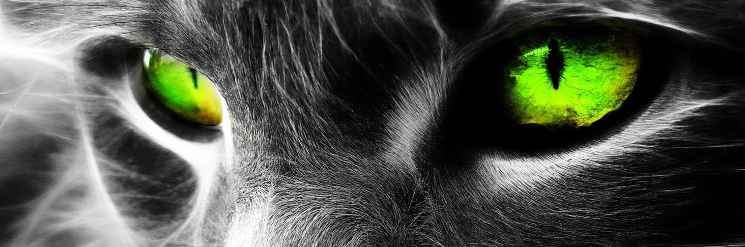 oriolmataro's profile banner image