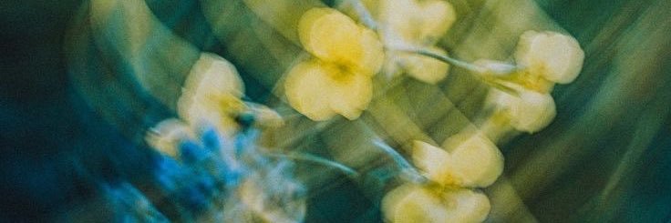 ★‿★ banner