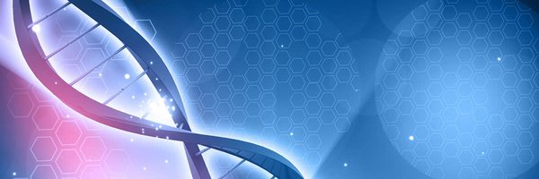 lightdynamics1 Profile Banner