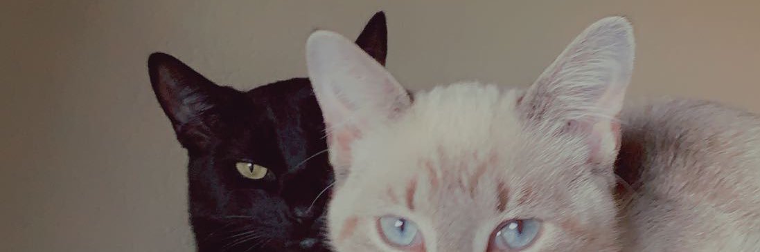 Can2_0's profile banner image