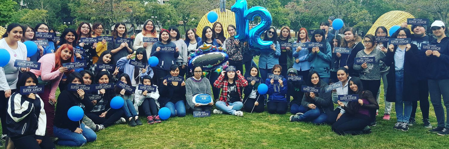 _chileanelf's profile banner image