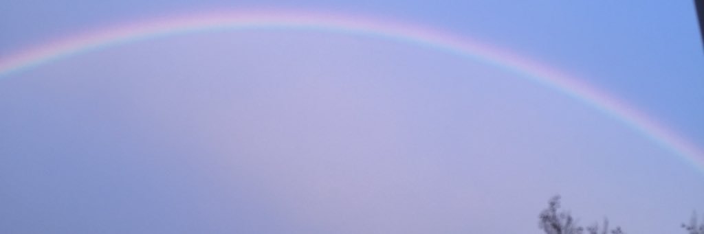 Sebasjohn's profile banner image