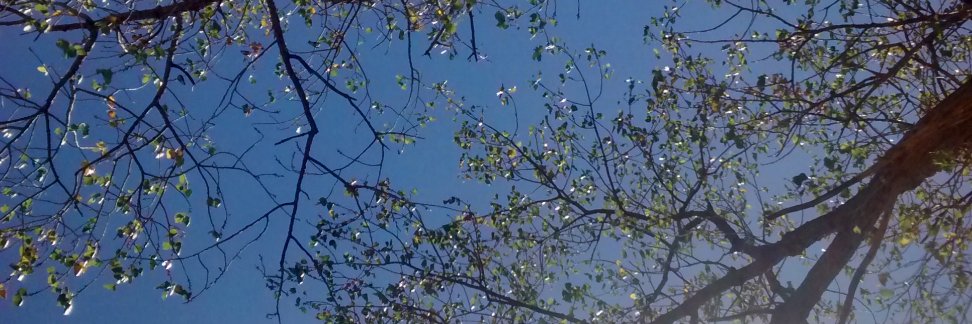 juangallotti16's profile banner image